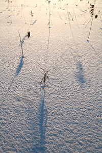 雪地表面雪花冬景蓝色水晶薄片四要素季节性白色冰柱天空图片