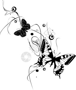蝴蝶黑色翅膀昆虫草图创造力插图绘画图片