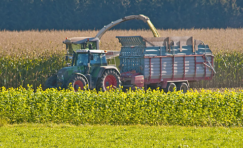 收获玉米场地机器农业机械草地拖拉机农业图片