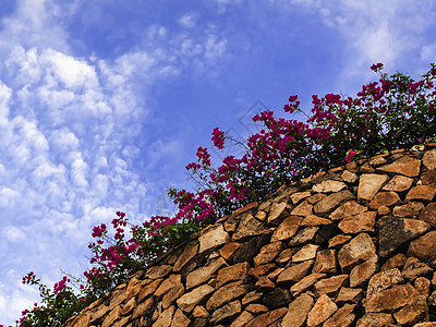 有花的石墙棕色阳光天空蓝色红色风景植物宽慰绿色晴天图片