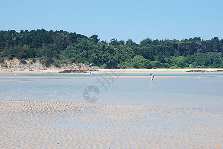 桑迪海滩海洋海岸图片