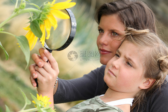 母亲和女儿检查向日葵图片