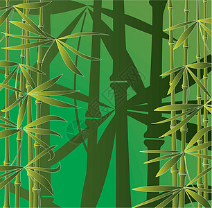 竹林竹子热带情调装饰衬套插图植物风格生活森林图片