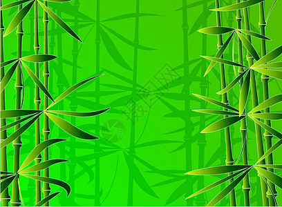 竹林植物木头情调叶子竹子风格生长墙纸异国插图图片