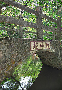 森林的桥梁建筑学旅行植物池塘溪流苔藓花园城市公园阴影图片