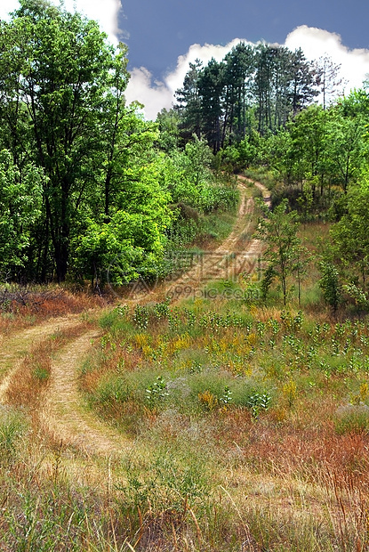 农村公路野花树叶爬坡花朵丘陵地面蓝色草地场地小路图片