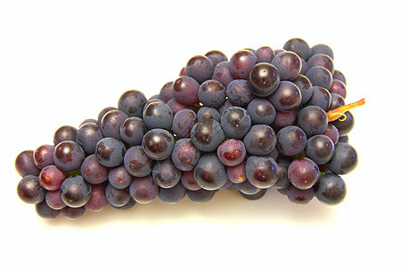 白色背景上的葡萄美丽植物藤蔓栽培紫色收成美食葡萄园食物水果图片
