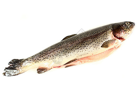 特鲁鳟鱼眼睛制品营养青柠养殖鱼头食物淡水居住图片