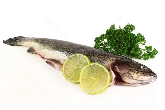 特鲁营养淡水眼睛食物鱼头香菜养殖居住青柠鳟鱼图片