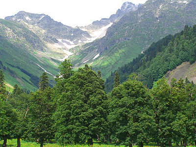 美丽的青绿色山地景观全景环境草原风景天空山脉蓝色顶峰外表高地图片