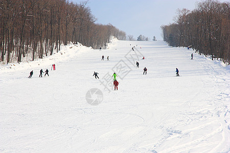 在俄罗斯普里莫尔斯基地区 滑雪者在山上搭起电梯运动滑雪板椅子电缆乐趣升降椅空气速度娱乐回旋图片