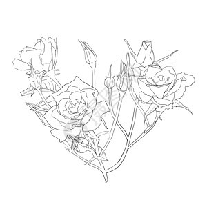 植物设计元素和手工抽签 矢量图示插图漩涡玫瑰装饰品装饰叶子花瓣风格绘画图片