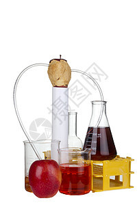 食品分析分析食物饮食烧瓶创新营养实验室科学器皿营养素美食图片