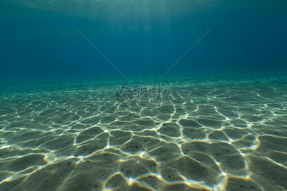 红海热带水域太阳光天堂海景海洋盐水蓝色植物情调异国潜水图片