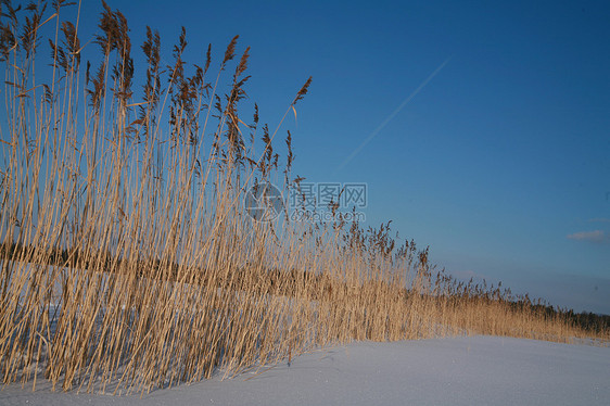 雪地表面蓝色冰柱季节季节性水晶四要素天空雪花降雪白色图片