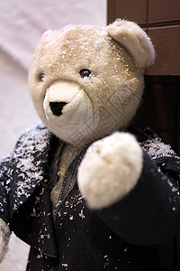 泰迪熊在雪中穿外套图片