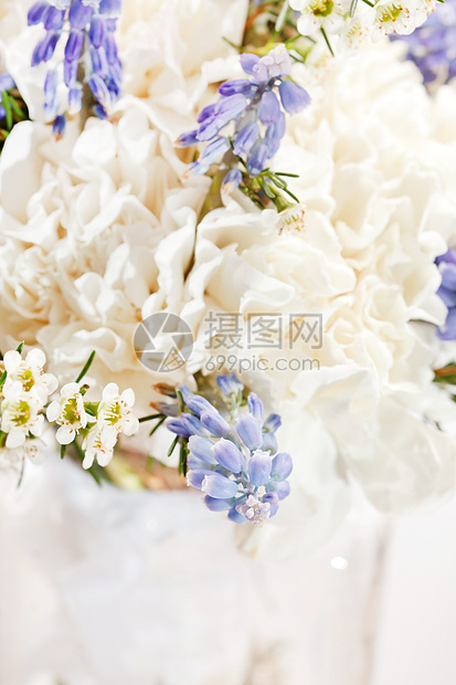 春花花瓣展示婚礼宏观生长礼物季节生活荒野蓝色图片