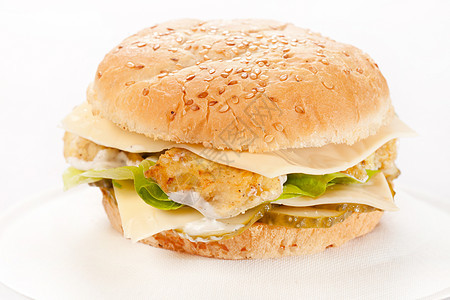 盘子里的芝士汉堡饮食蔬菜种子洋葱午餐美食营养面包野餐包子图片