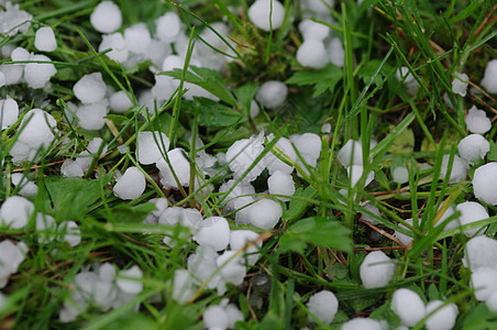 圆冰球雨量天气谷物气候草地溪流水晶暴雨立方体叶子图片