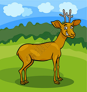 野鹿漫画插图空地草地鹿角吉祥物男性动物园哺乳动物野生动物微笑牛角图片