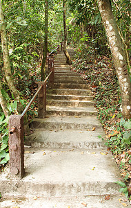 通往丛林的阶梯路 乔亚伊国家公园叶子楼梯人行道树木踪迹植物脚步公园花园小路图片