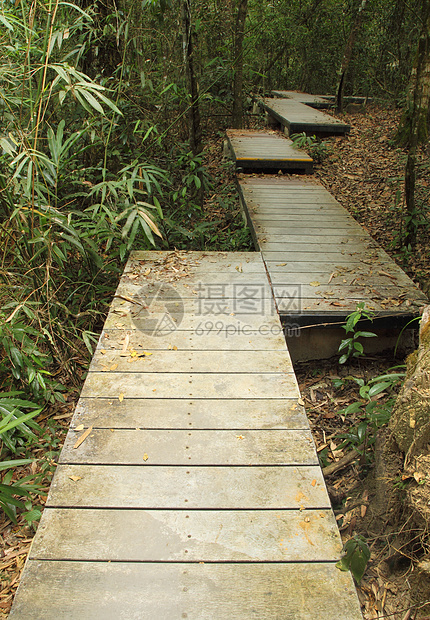 森林中的木板路脚步探索木头丛林岩石森林曲线楼梯人行道远足图片