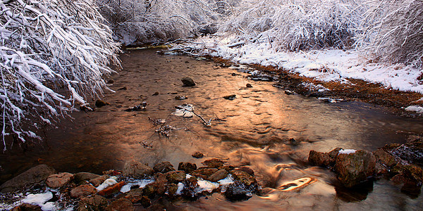 伊利诺伊州柳溪冬季景图片
