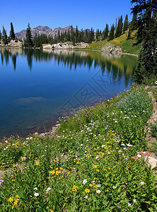 夏季湖风景树木远足孤峰反射峰会镜像山峰山脉花朵图片