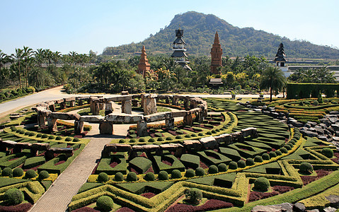 泰国的兰花墙纸寺庙数字农家乐石头荒野森林树木植物图片