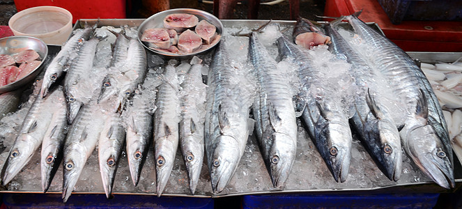 市场上鲜新鲜鱼海产食品品种繁多烹饪维生素钓鱼厨房美味销售美食餐厅海鲜鲭鱼背景图片