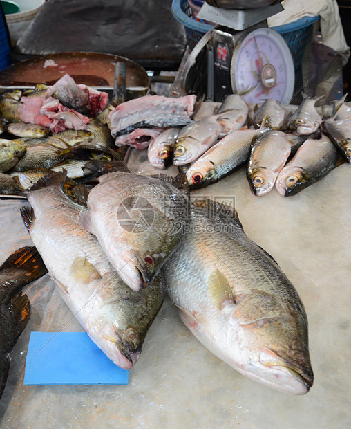 市场上鲜鱼种类繁多图片