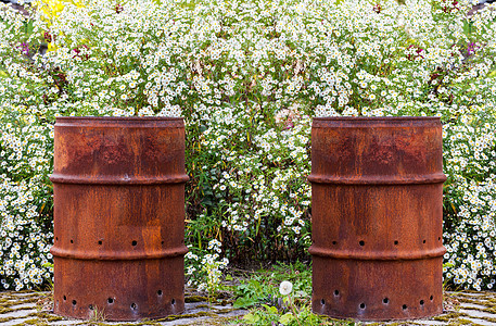 鲁斯提桶植物绿色金属损害花坛垃圾回收白色材料环境图片