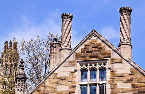 耶鲁大学斯特林法建筑石头校园时代花朵盟校大楼旅行建筑学文化大学图片