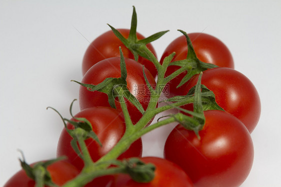 松树上的番茄水果剪切食物红色节食影棚饮食路径健康饮食工作室图片