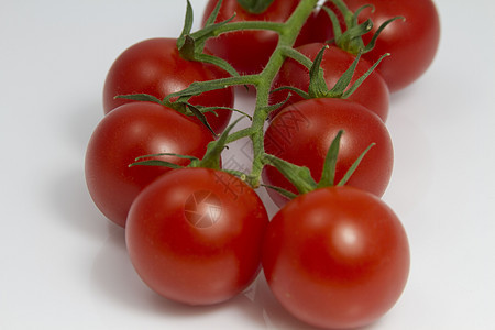 松树上的番茄影棚食物饮食对象蔬菜活力红色剪切节食素食图片