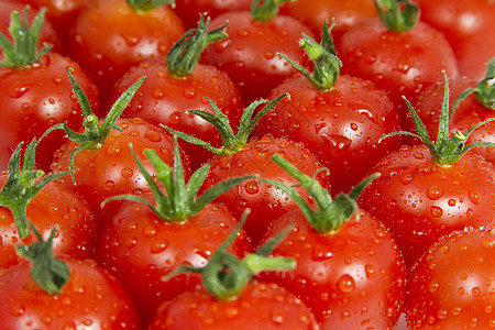 一群西红柿素食食物影棚蔬菜水果节食红色工作室路径对象图片