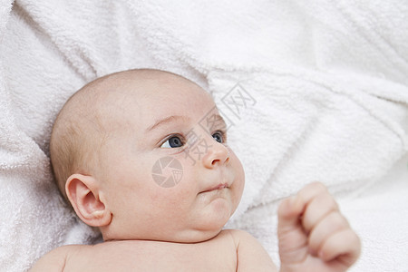 括轮向侧看婴儿水平眼睛苏醒耳朵新生孩子儿童鼻子头发图片