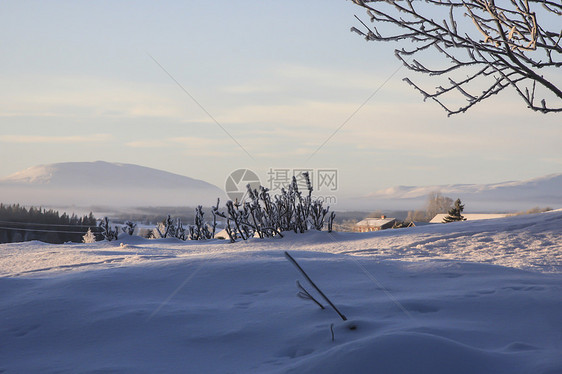 冬季风景水晶太阳木头季节晴天美丽天气小路场地荒野图片