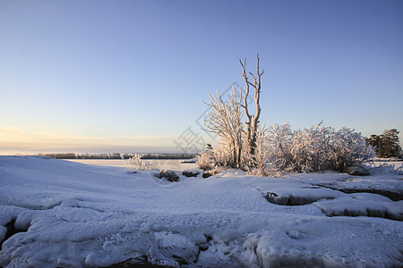 冬季风景美丽场地水晶阳光蓝色荒野阴影季节天空森林图片