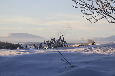 冬季风景美丽晴天木头场景天气蓝色太阳阳光冻结小路图片