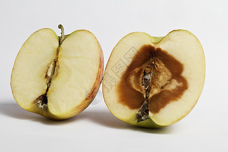 变形苹果营养品食物腐烂心皮农村化粪池棕色横截面绿色背景图片