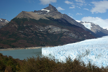 阿根廷佩里托莫雷诺冰川风景顶峰森林木头地质学旅行旅游荒野爬坡冰山图片