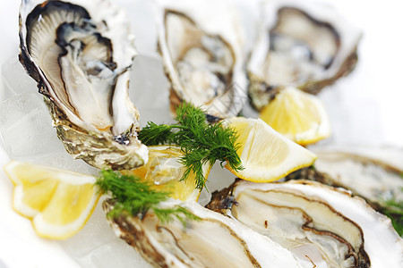 含柠檬和的牡蛎食物壳类草本植物熟食盘子海鲜美食午餐贝类奢华图片