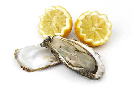牡蛎和白柠檬宏观美食熟食午餐贝类壳类柠檬盘子营养海鲜图片