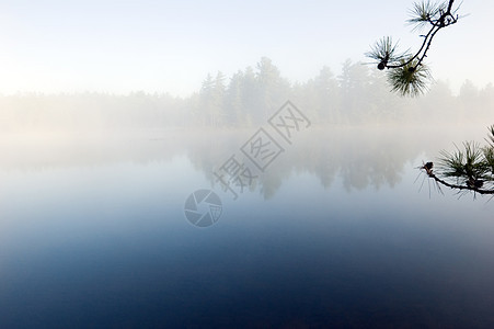 雾薄雾镜子反射日出天空池塘图片