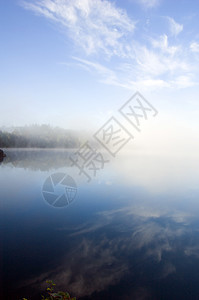 上午池塘薄雾镜子反射日出天空云杉图片