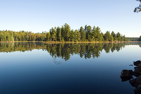 湖荒野太阳娱乐森林国家树木晴天公园旅行绿色图片