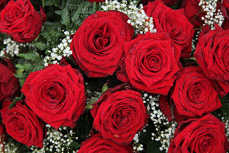 红玫瑰婚礼安排白色植物群婚姻绿色花瓣红色装饰品花束花朵植物学图片