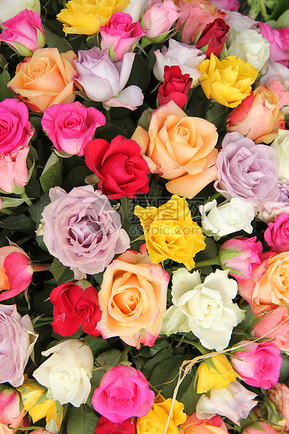 彩色的混合花花安排绿色花束花朵花店植物黄色粉色玫瑰植物学花瓣图片