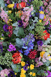 混合花际安排花瓣郁金香紫色鸢尾花绿色石竹白色花束粉色植物群图片